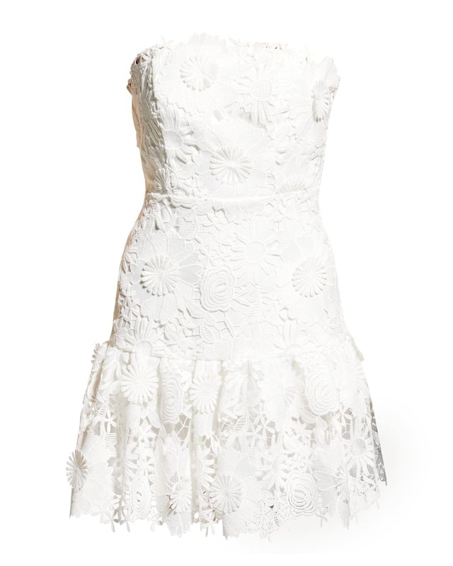Esther Strapless Lace Dress
